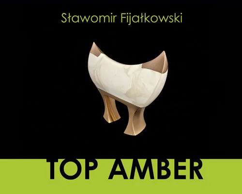 TOP AMBER Cover